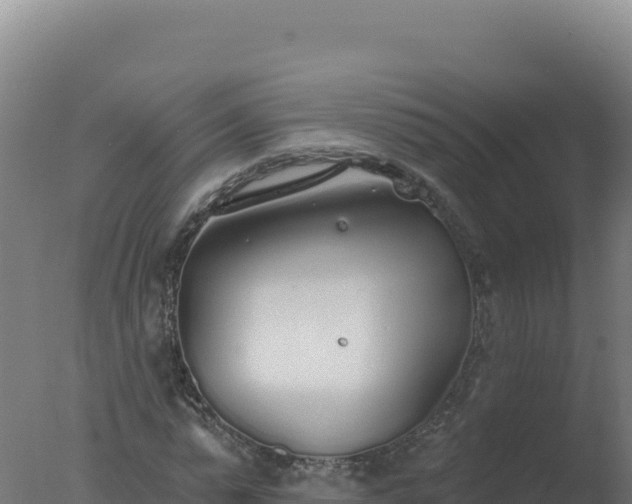 X0000077370775200610271919