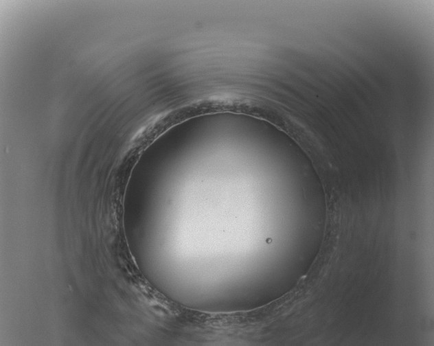 X0000077370776200610271919