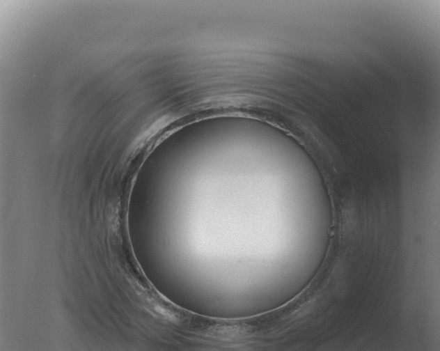 X0000077370778200610271919