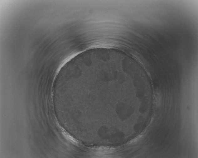 X0000077370779200610271919