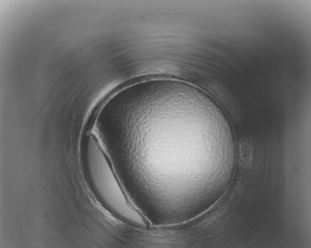 X0000077370780200610271919