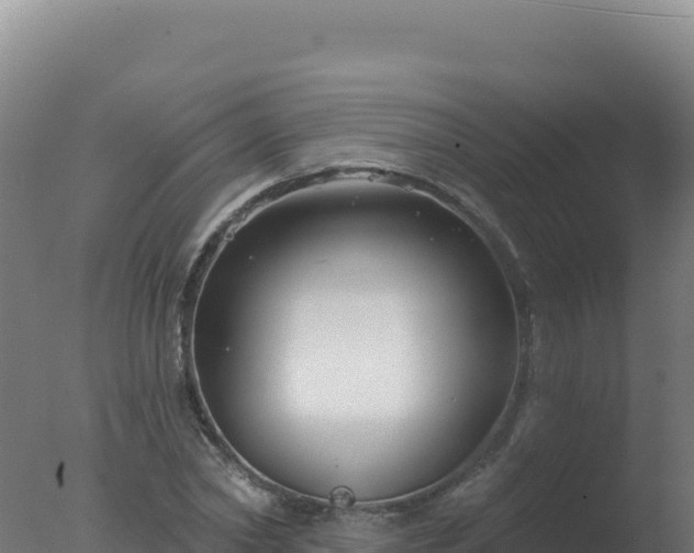 X0000077370782200610271919