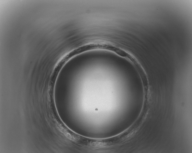 X0000077370783200610271919