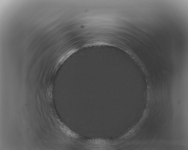 X0000077370785200610271919