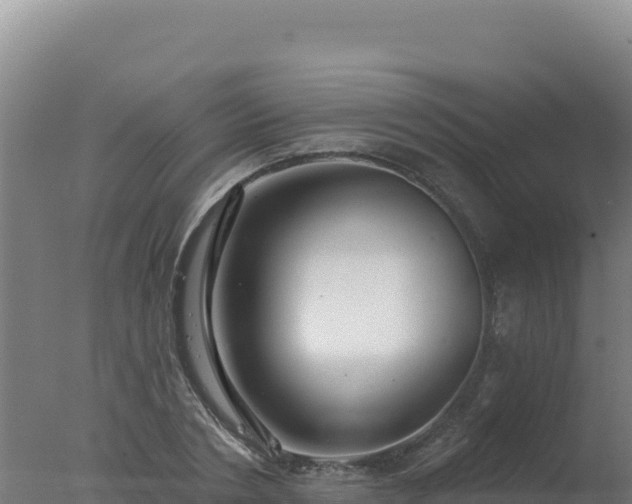 X0000077370786200610271919