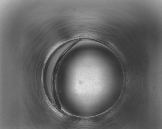 X0000077370788200610271919