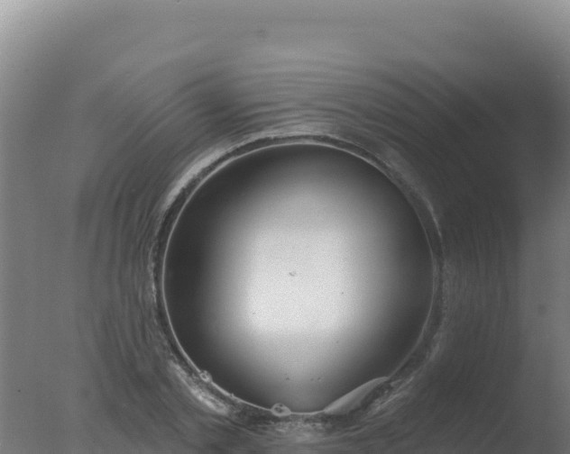 X0000077370789200610271919