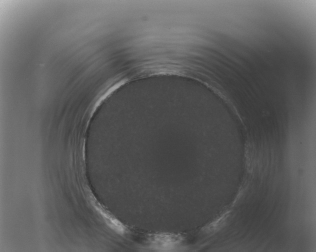 X0000077370790200610271919