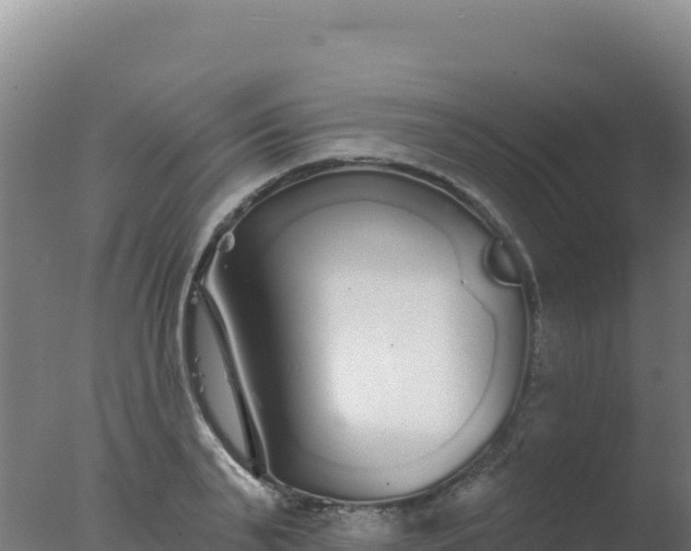 X0000077370791200610271919