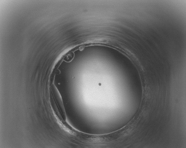 X0000077370792200610271919