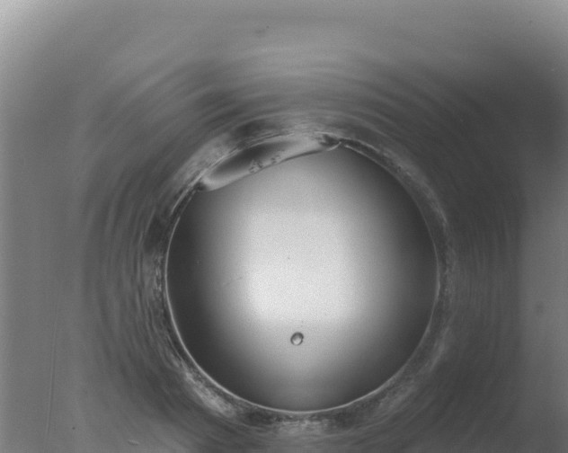 X0000077370793200610271919