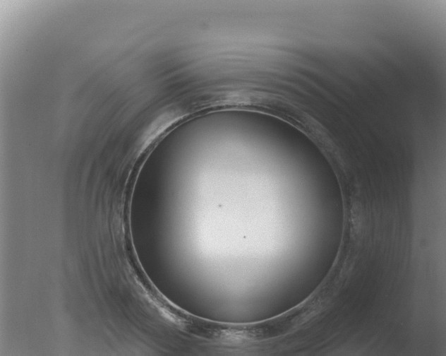 X0000077370794200610271919