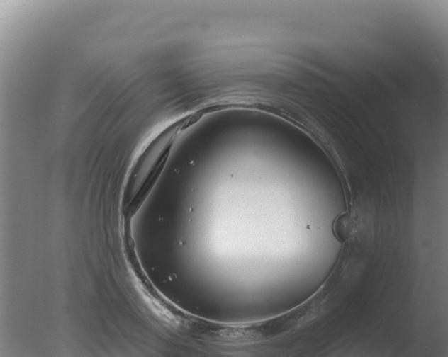 X0000077370795200610271919