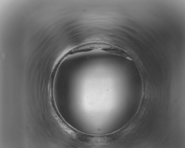 X0000077370796200610271919