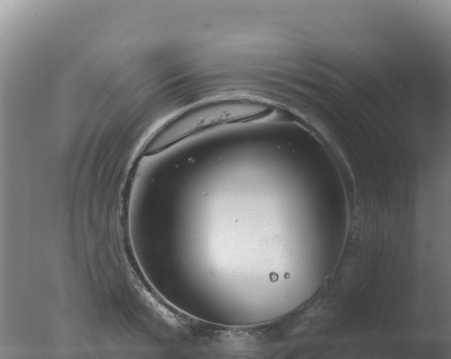 X0000077370799200610271919