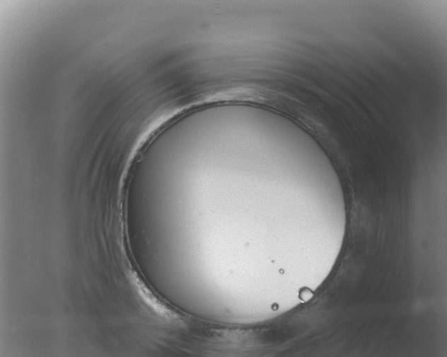 X0000077370800200610271919