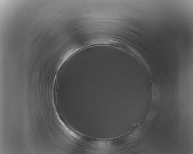 X0000077370802200610271918