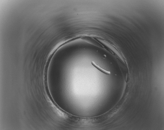 X0000077370803200610271918