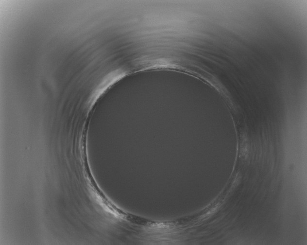 X0000077370806200610271918