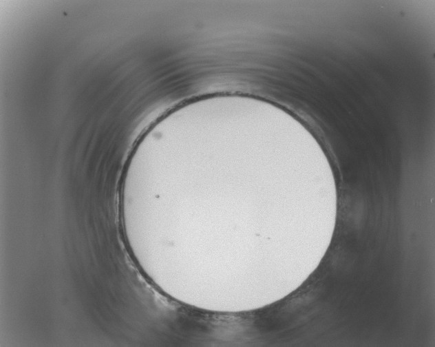 X0000077370807200610271918