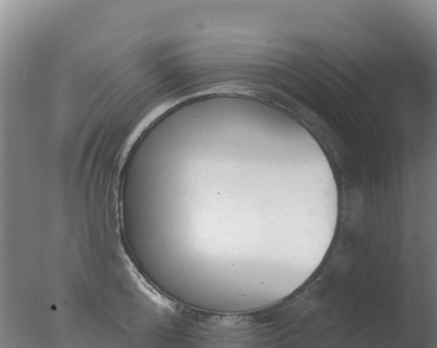 X0000077370808200610271918