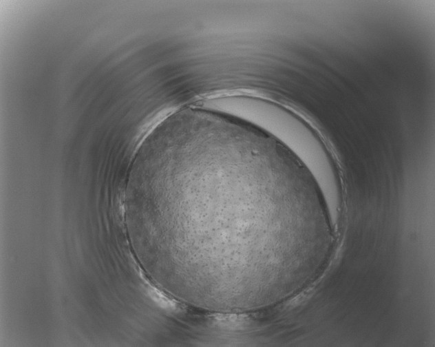 X0000077370809200610271918