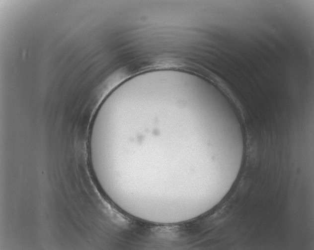 X0000077370810200610271918