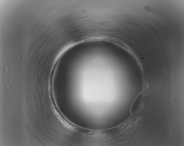 X0000077370811200610271918