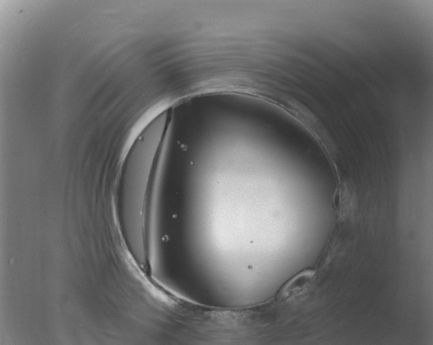 X0000077370812200610271918