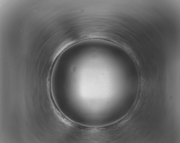 X0000077370814200610271918