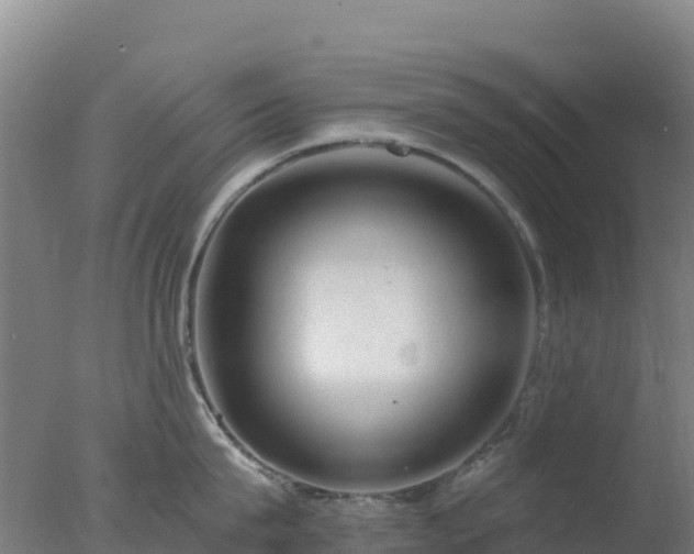 X0000077370815200610271918