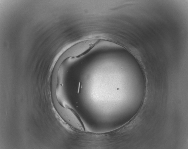 X0000077370816200610271918