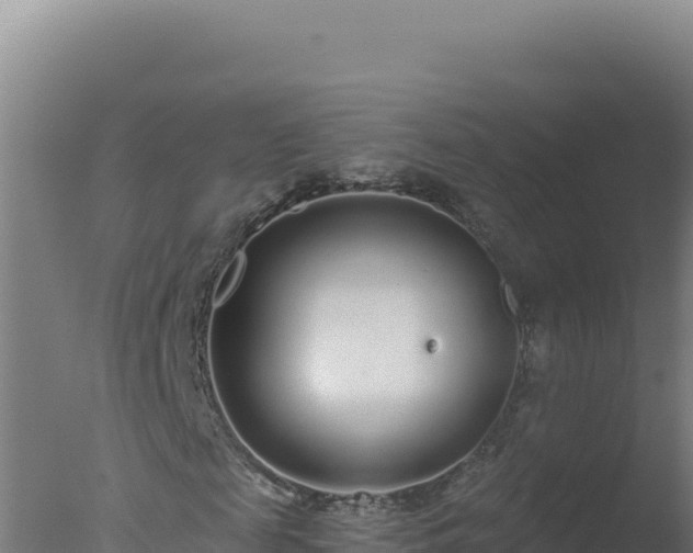 X0000077370817200610271917