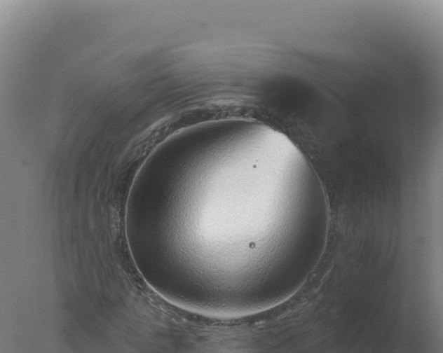 X0000077370821200610271917