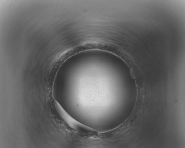 X0000077370822200610271918