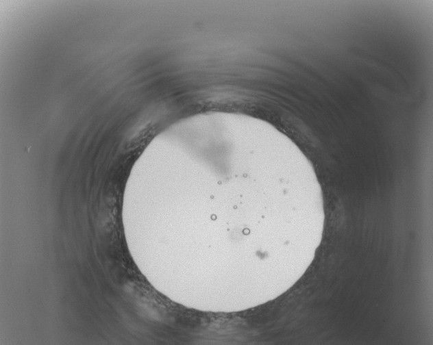 X0000077370824200610271918