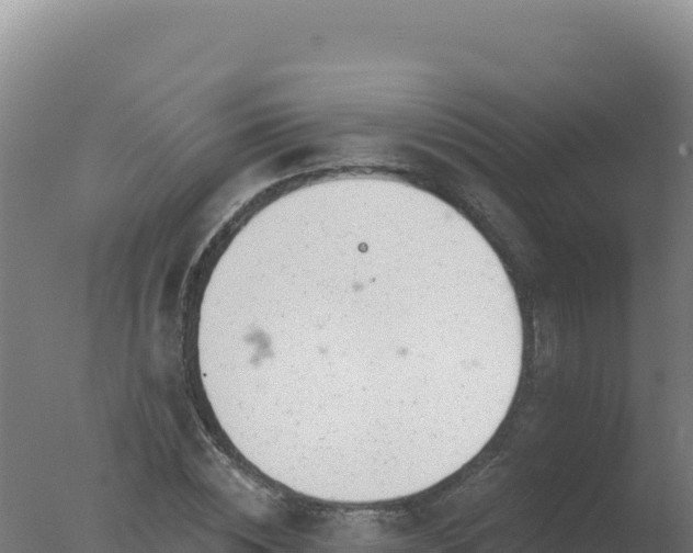 X0000077370828200610271918