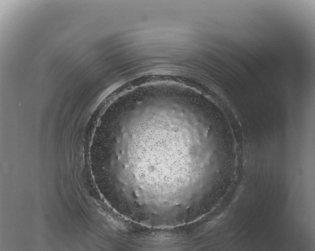 X0000077370829200610271918