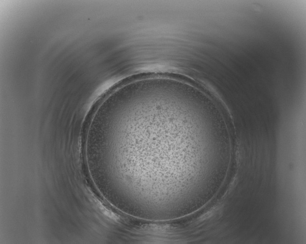 X0000077370831200610271918