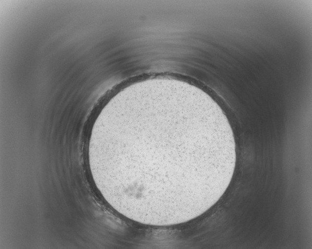 X0000077370832200610271918