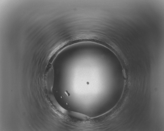 X0000077370834200610271918