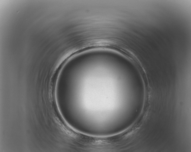 X0000077370835200610271918