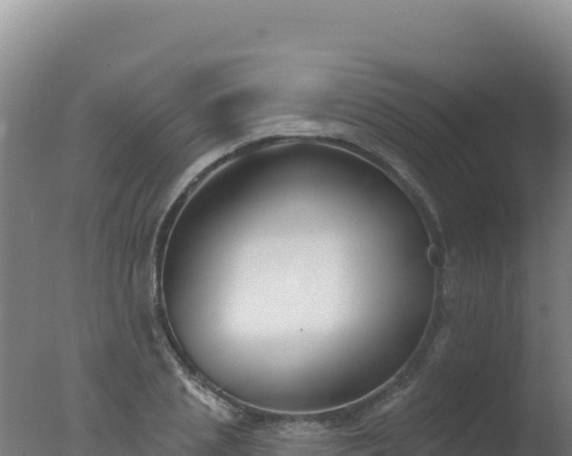 X0000077370837200610271918