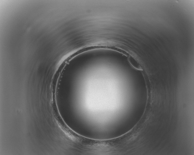 X0000077370838200610271918