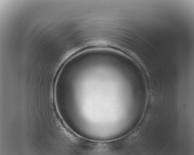 X0000077370839200610271918