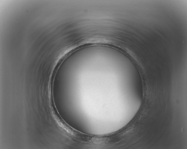 X0000077370840200610271918