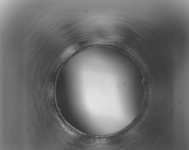 X0000077370841200610271918