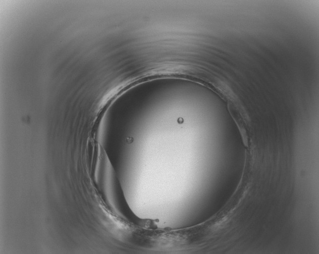 X0000077370842200610271918