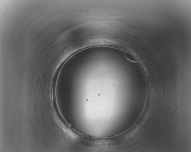 X0000077370843200610271918