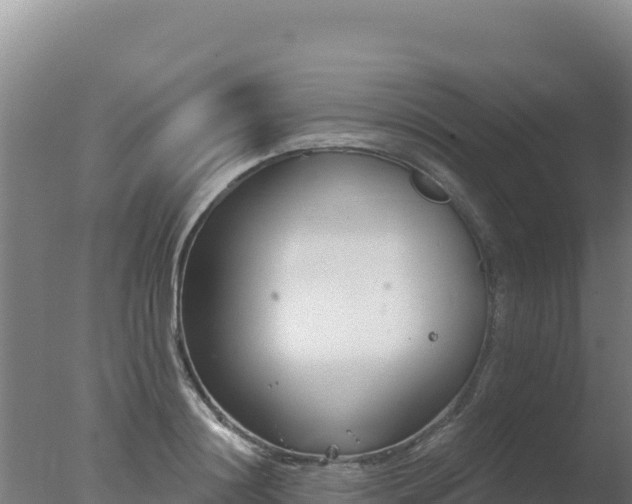 X0000077370844200610271918